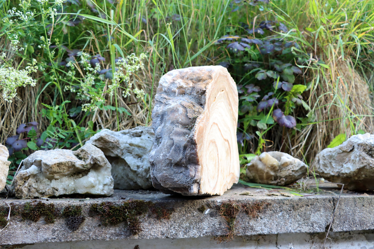 Stalagmit se sintrovou kůrou - Supreme Panthers