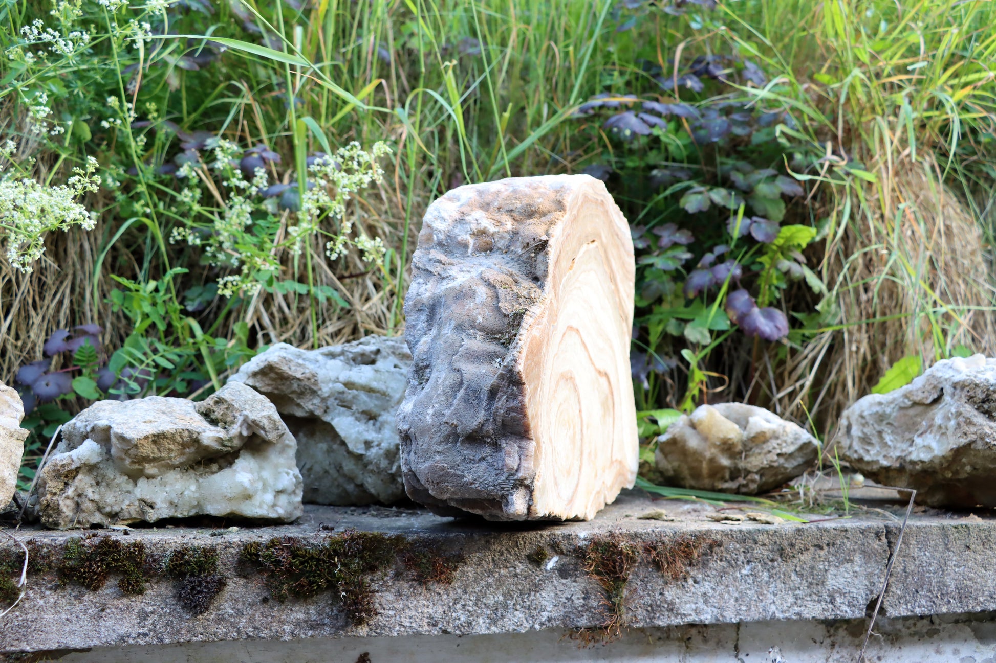 Stalagmit se sintrovou kůrou - Supreme Panthers