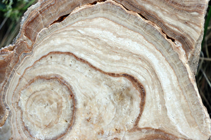 Stalagmit se sintrovou kůrou - Supreme Panthers