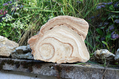 Stalagmit se sintrovou kůrou - Supreme Panthers