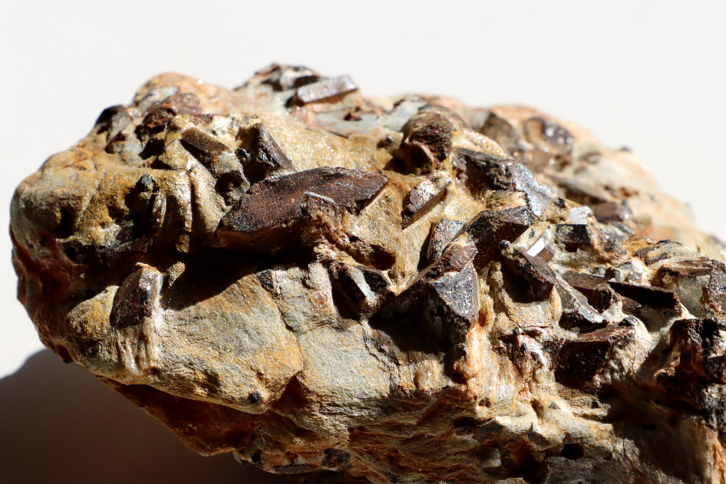 Staurolit kříže ve svoru, r. 1946 - 1955 - Supreme Panthers