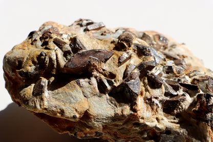 Staurolit kříže ve svoru, r. 1946 - 1955 - Supreme Panthers