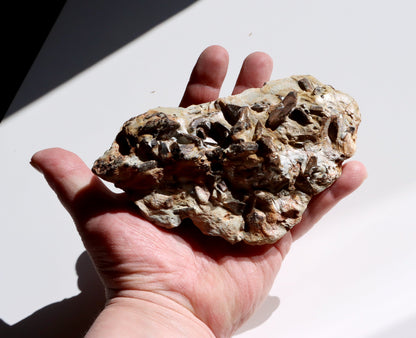 Staurolit kříže ve svoru, r. 1946 - 1955 - Supreme Panthers