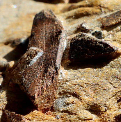 Staurolit kříže ve svoru, r. 1946 - 1955 - Supreme Panthers