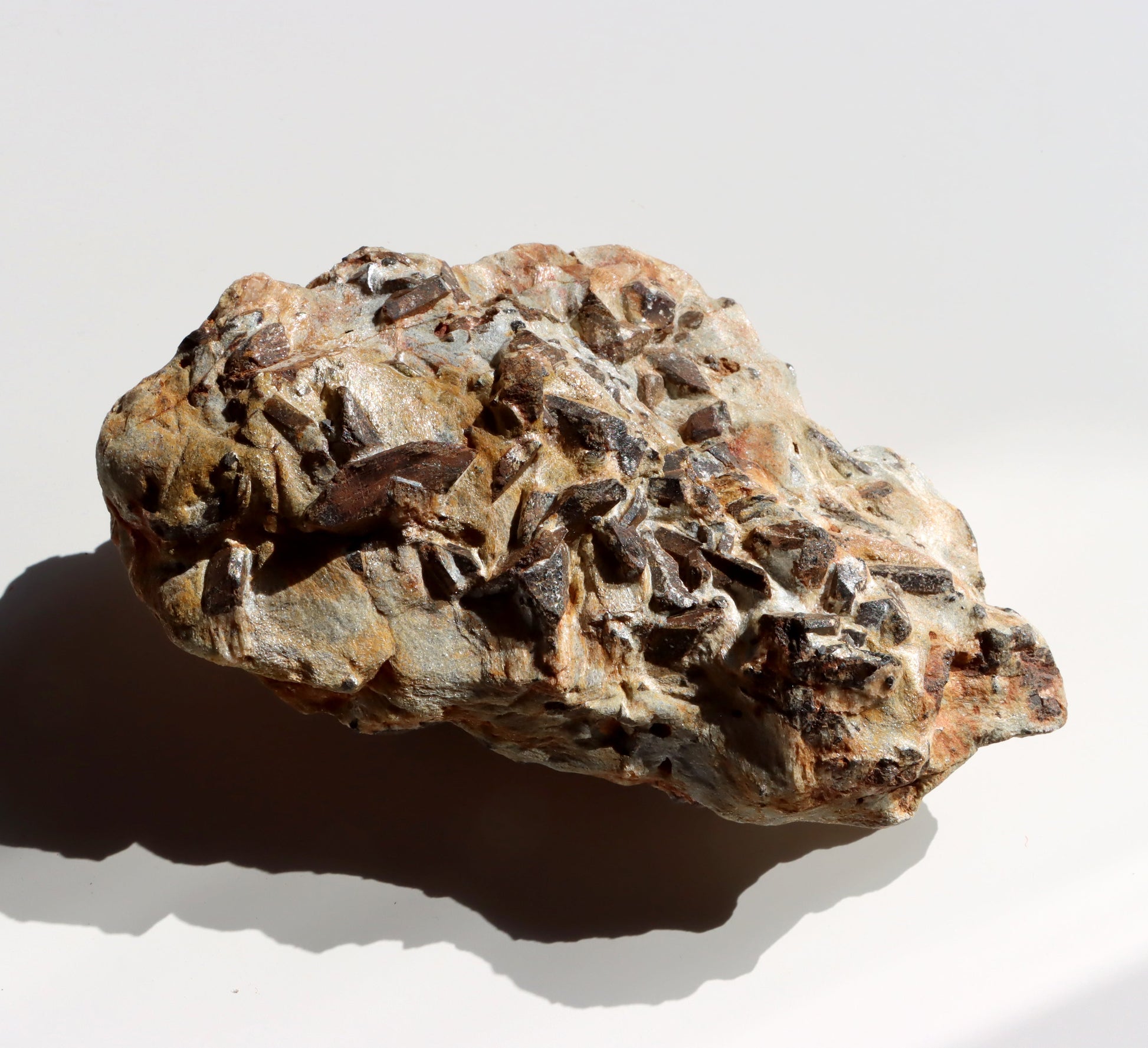 Staurolit kříže ve svoru, r. 1946 - 1955 - Supreme Panthers