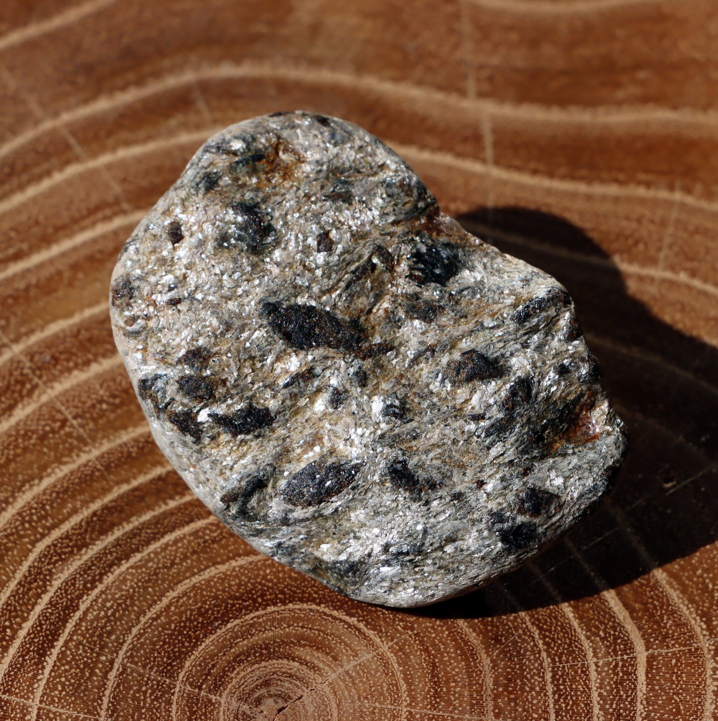 Staurolity a almandiny v muskovitu - Supreme Panthers