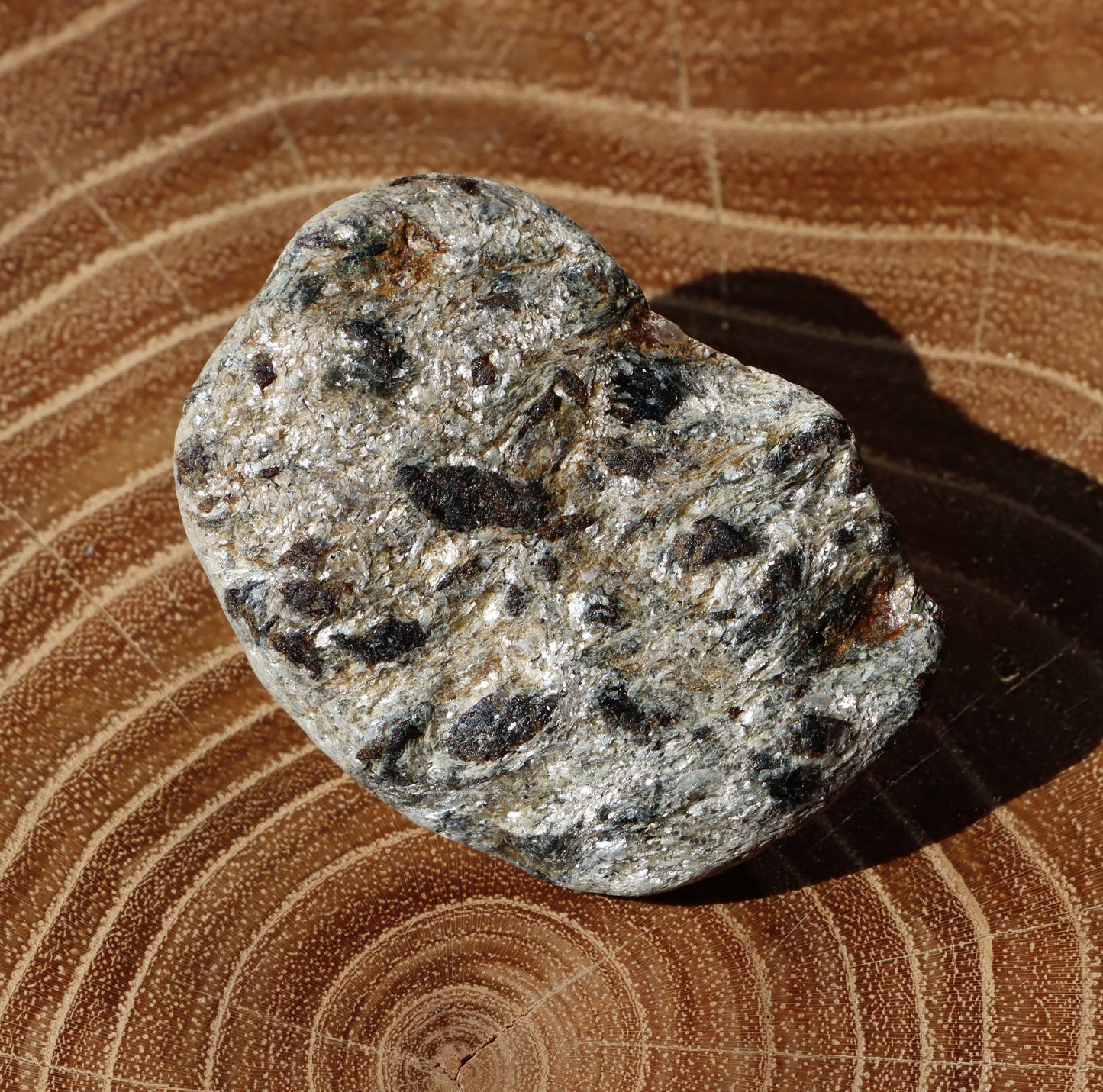 Staurolity a almandiny v muskovitu - Supreme Panthers