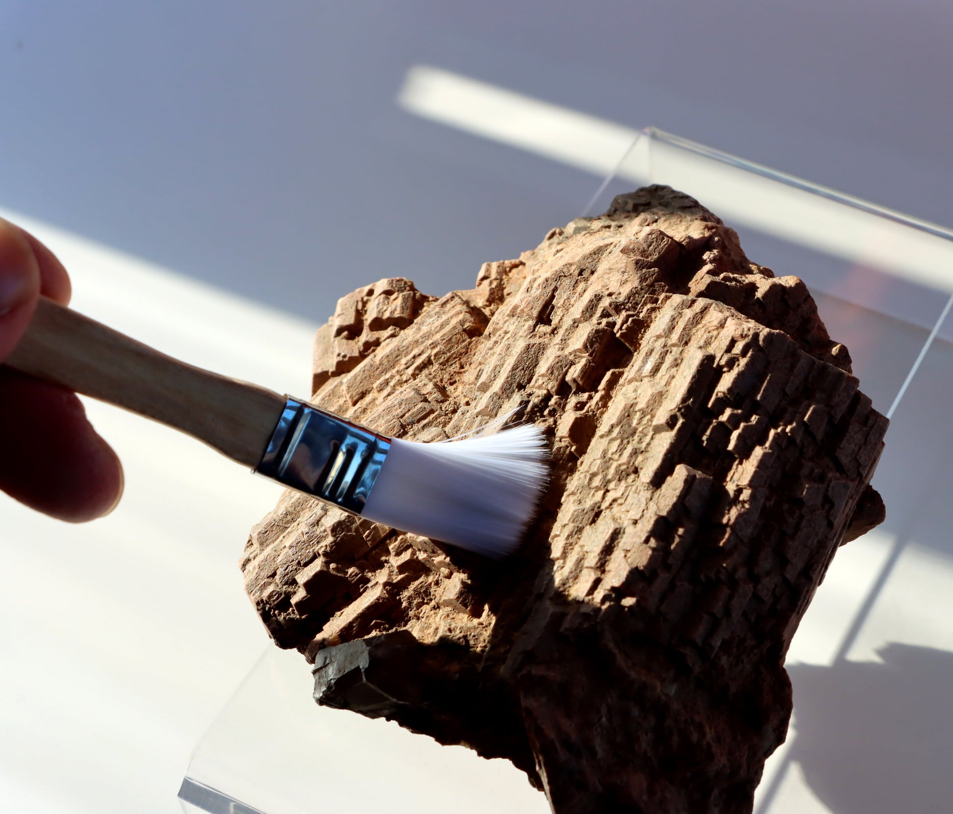 Štětec bílý na zkameněliny - Supreme Panthers