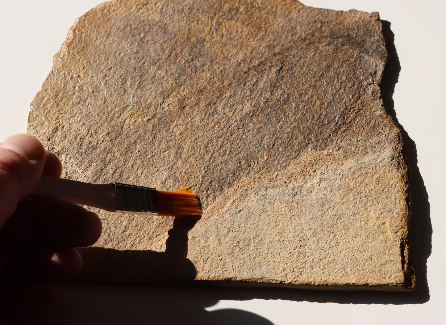 Štětec oranžový na minerály - Supreme Panthers