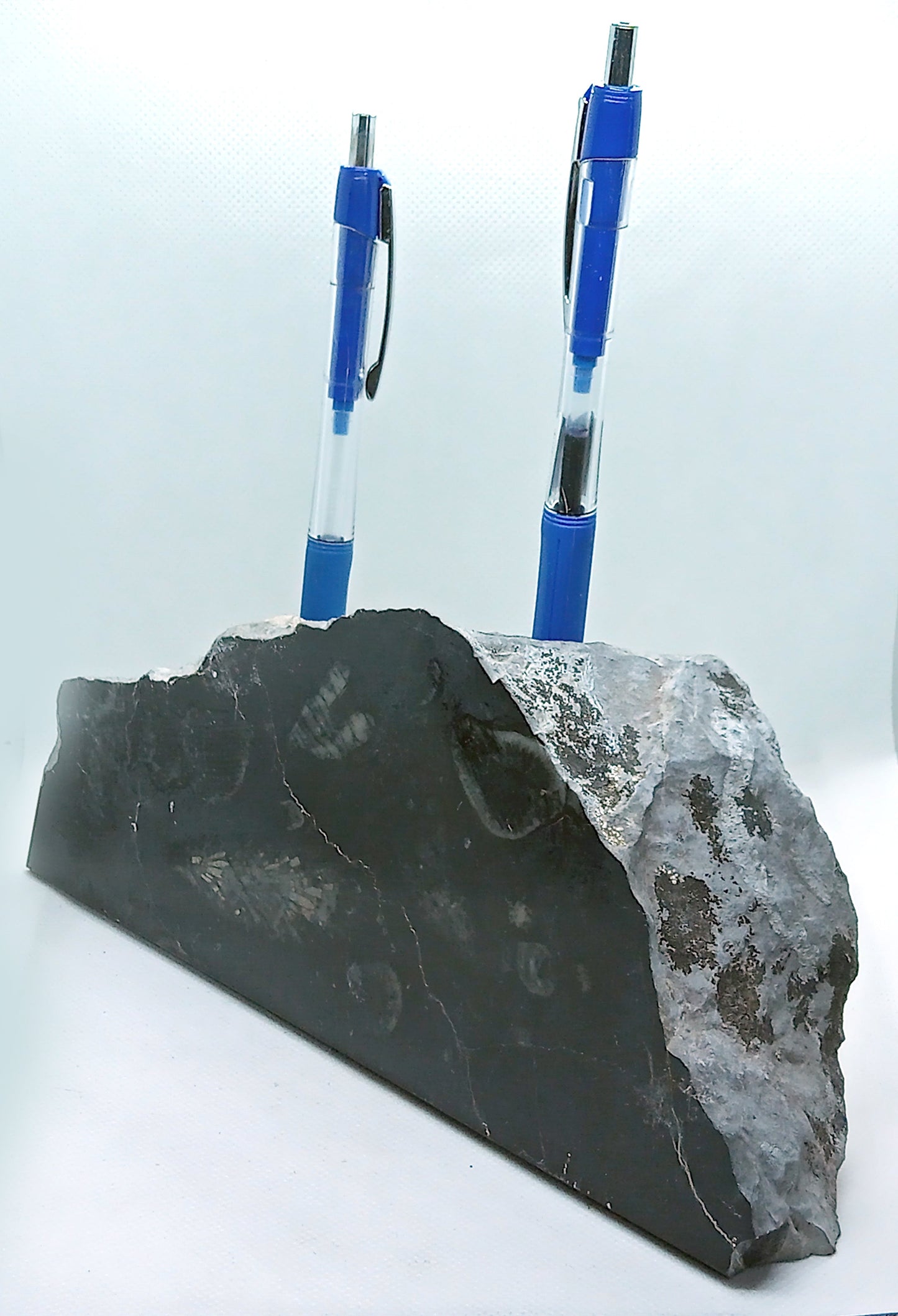 Stojánek na tužky z vápence s korály, 3 tužkové - Supreme Panthers