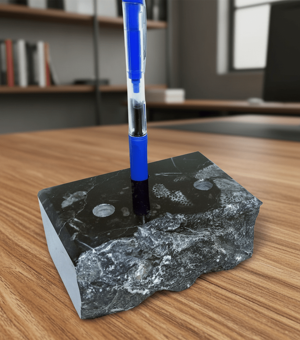 Stojánek na tužky z vápence s korály (Thamnopora) - Supreme Panthers