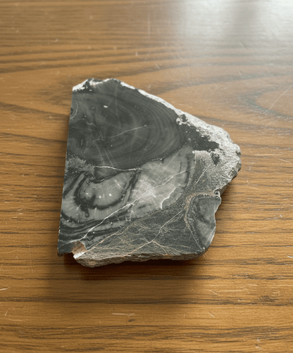 Stromatopora porůstána deskatým korálem - Supreme Panthers