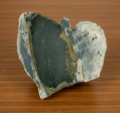 Stromatopora ve stínavsko - chabičovské břidlici - Supreme Panthers