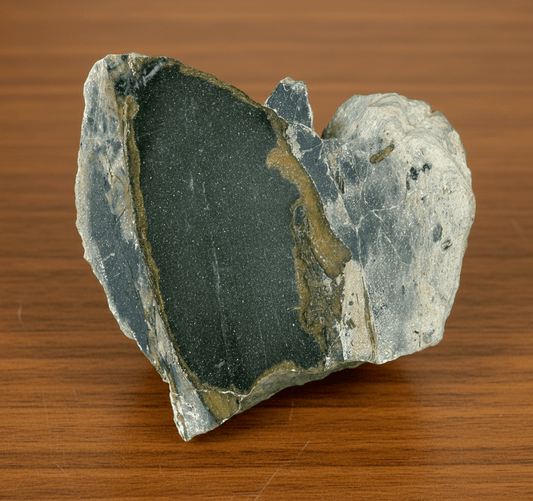 Stromatopora ve stínavsko - chabičovské břidlici - Supreme Panthers