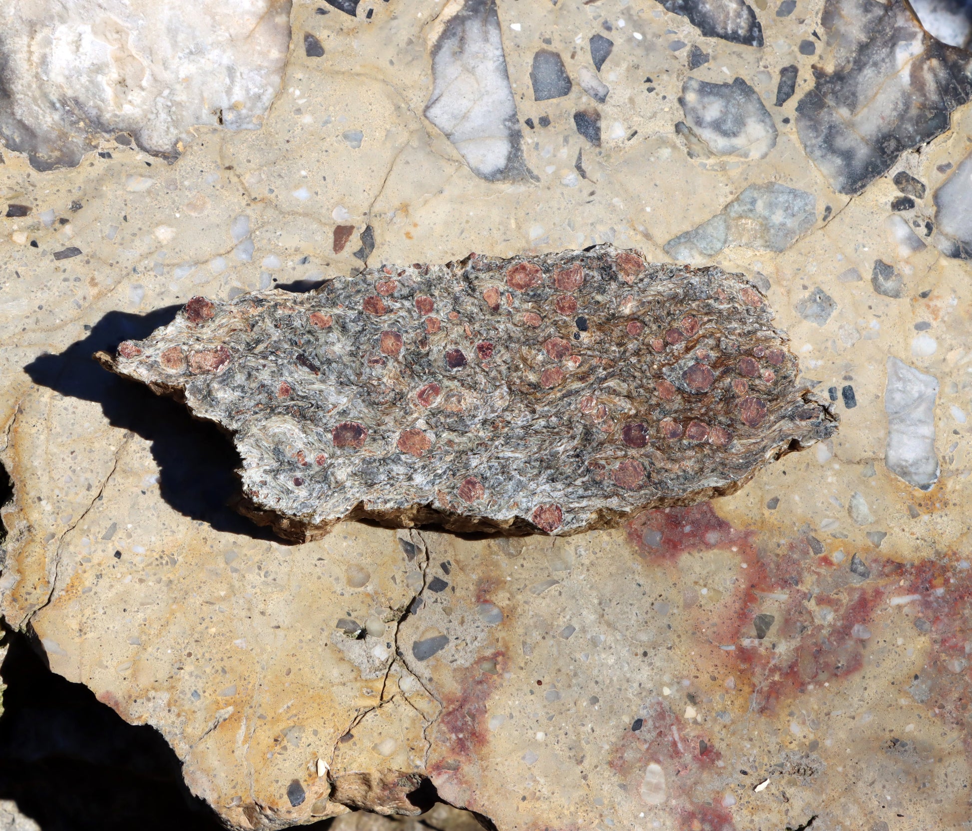 Svojanovit s almandinem a staurolitem leštěný - Supreme Panthers