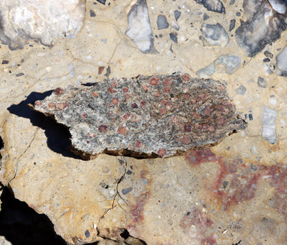 Svojanovit s almandinem a staurolitem leštěný - Supreme Panthers