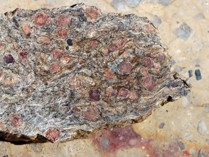 Svojanovit s almandinem a staurolitem leštěný - Supreme Panthers