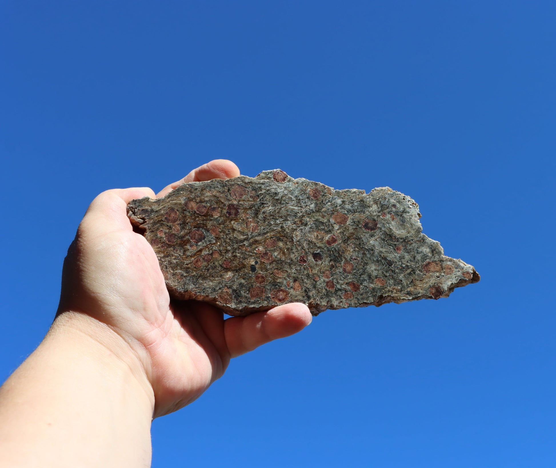 Svojanovit s almandinem a staurolitem leštěný - Supreme Panthers