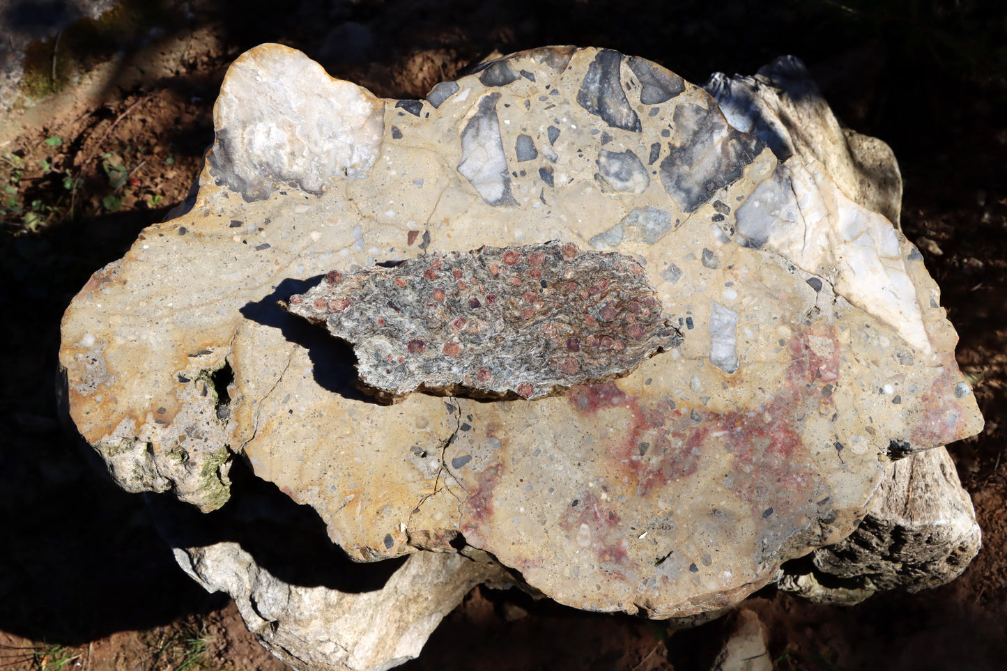 Svojanovit s almandinem a staurolitem leštěný - Supreme Panthers