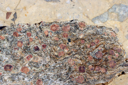 Svojanovit s almandinem a staurolitem leštěný - Supreme Panthers