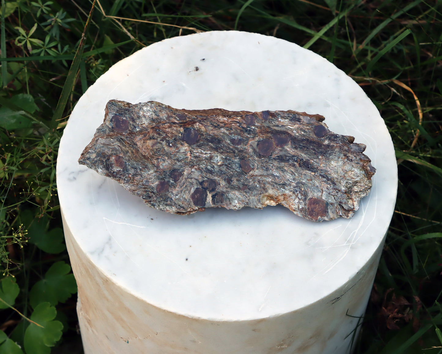 Svojanovit s almandinem leštěný - Supreme Panthers