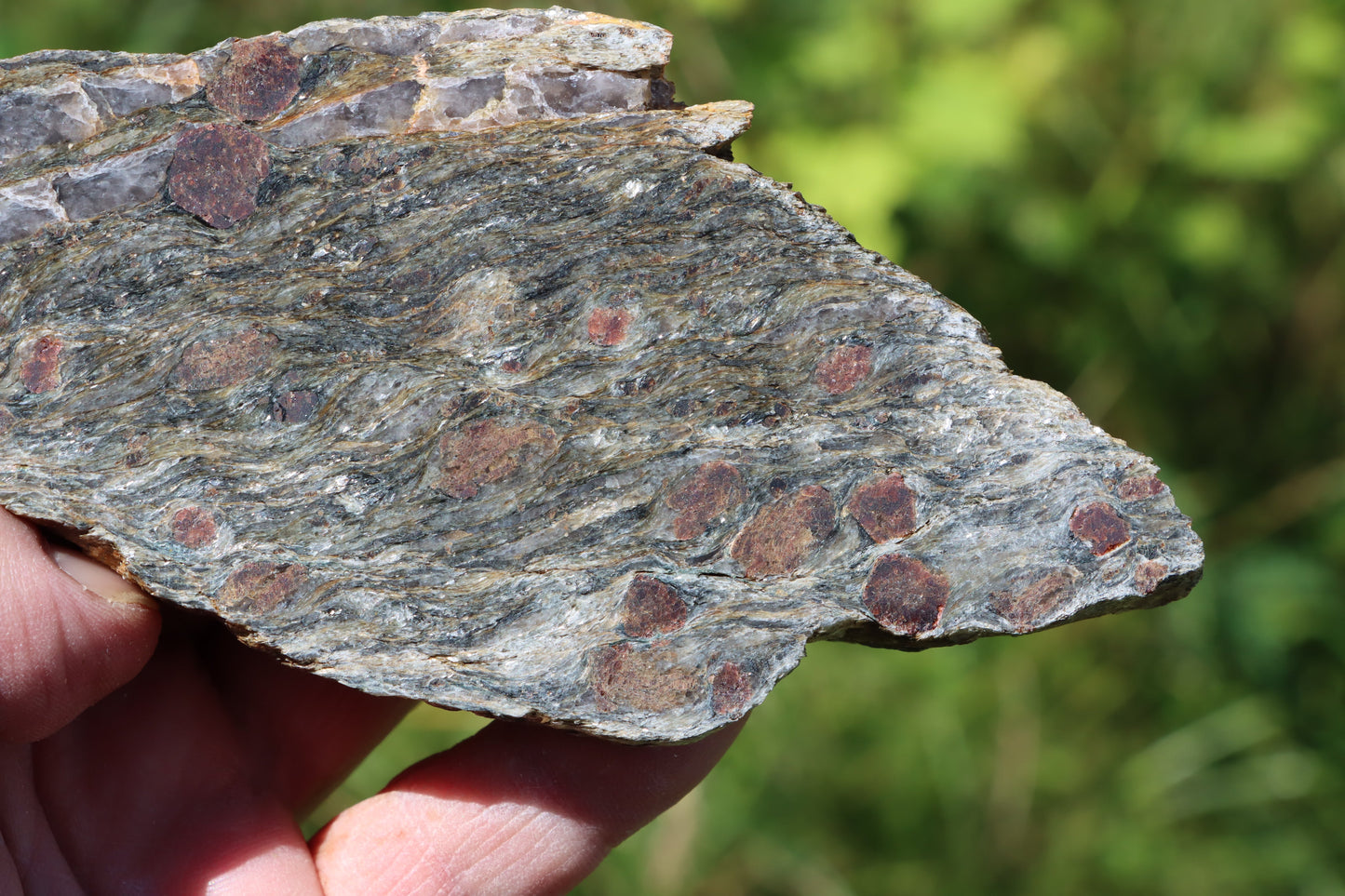 Svojanovit s almandinem leštěný - Supreme Panthers