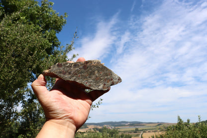 Svojanovit s almandinem leštěný - Supreme Panthers