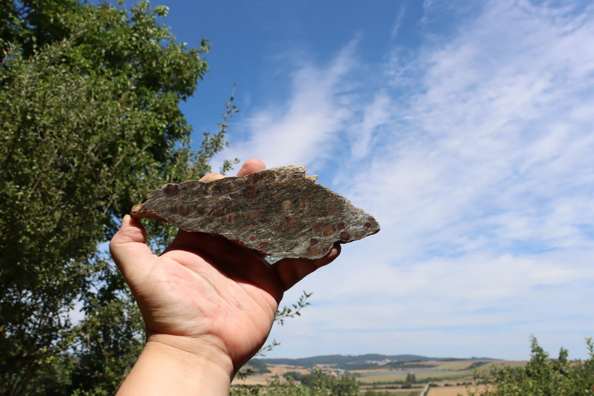 Svojanovit s almandinem leštěný - Supreme Panthers