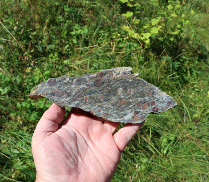 Svojanovit s almandinem leštěný - Supreme Panthers