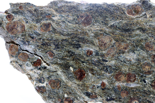 Svojanovit s almandinem leštěný - Supreme Panthers