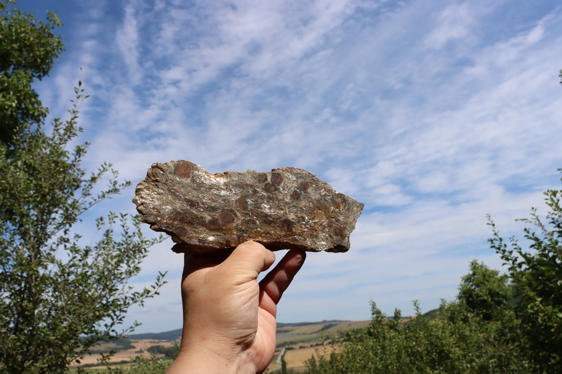 Svojanovit s almandinem leštěný - Supreme Panthers