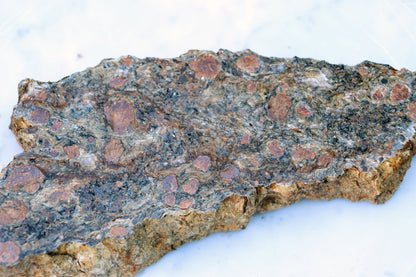 Svojanovit s almandinem leštěný - Supreme Panthers