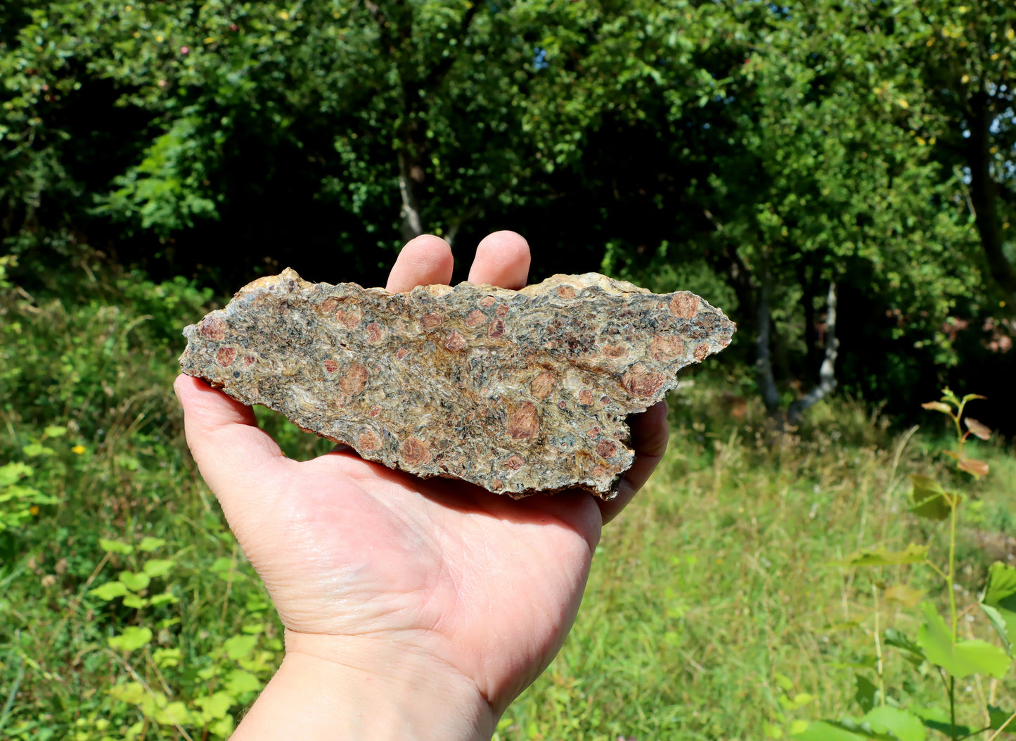 Svojanovit s almandinem leštěný - Supreme Panthers