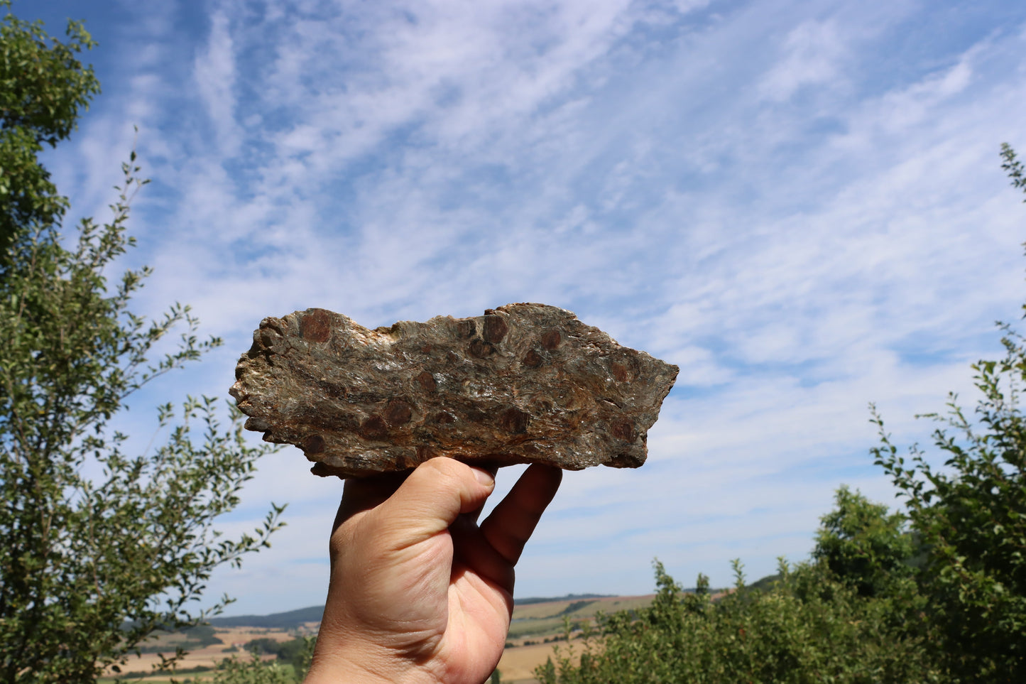 Svojanovit s almandinem leštěný - Supreme Panthers