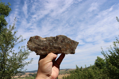 Svojanovit s almandinem leštěný - Supreme Panthers