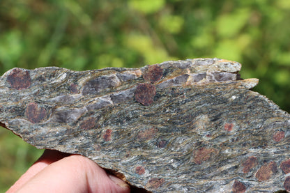 Svojanovit s almandinem leštěný - Supreme Panthers