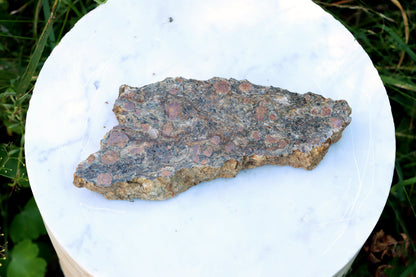 Svojanovit s almandinem leštěný - Supreme Panthers