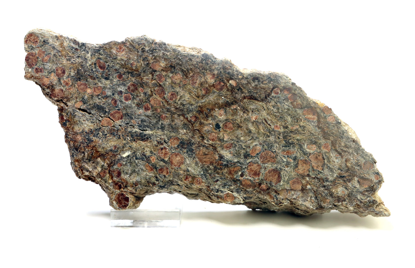 Svojanovit s almandinem leštěný - Supreme Panthers