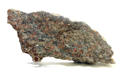 Svojanovit s almandinem leštěný - Supreme Panthers