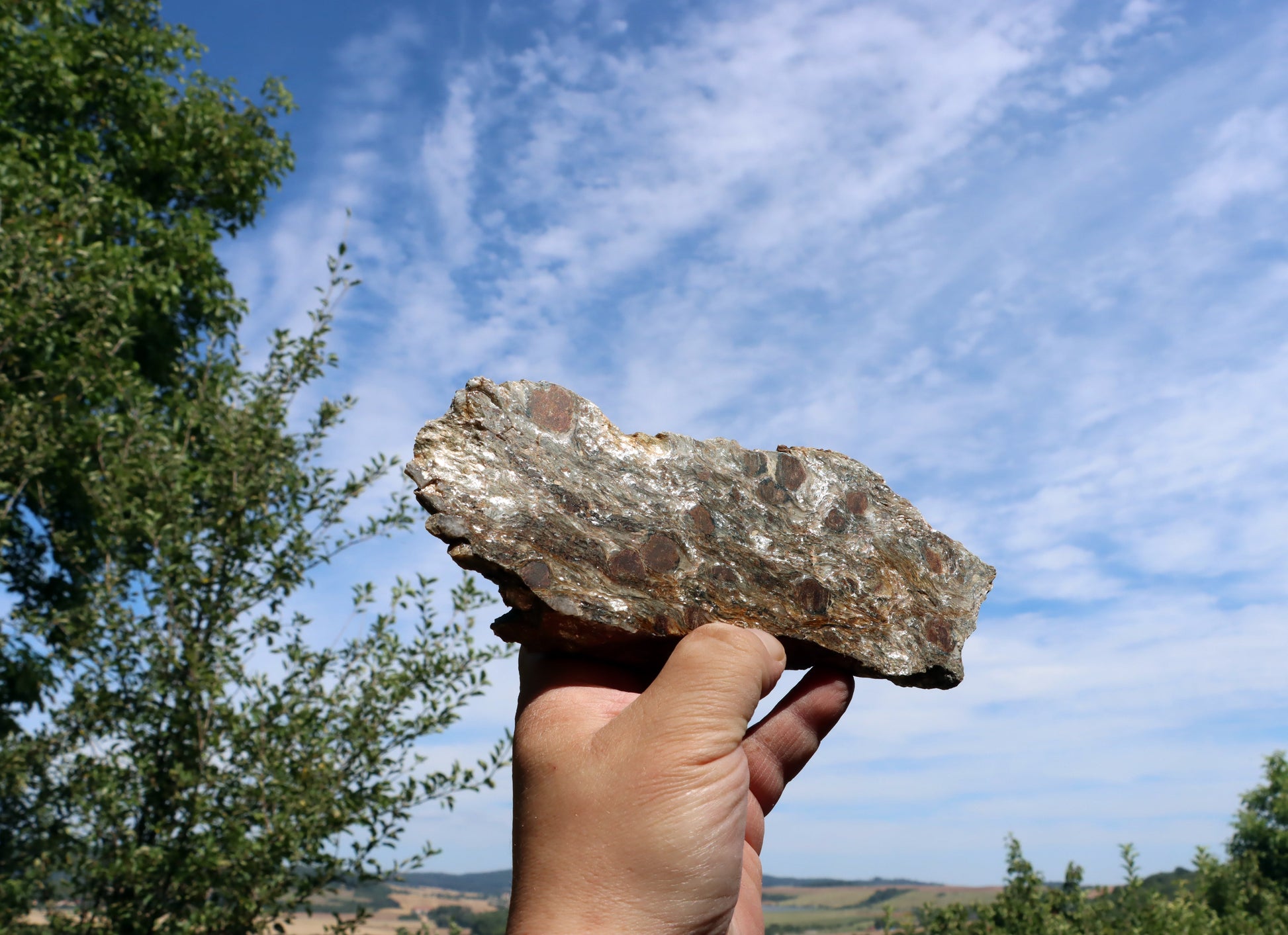 Svojanovit s almandinem leštěný - Supreme Panthers