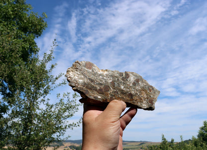 Svojanovit s almandinem leštěný - Supreme Panthers