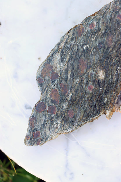 Svojanovit s almandinem leštěný - Supreme Panthers