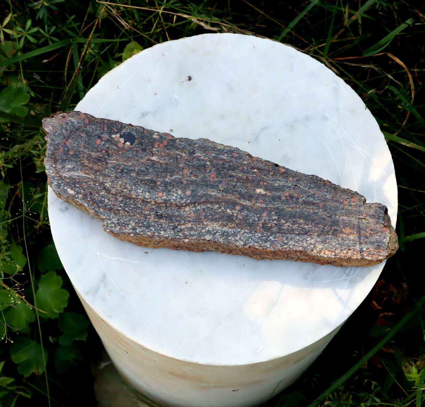 Svojanovit s almandinem, staurolitem a orthoklasem leštěný - Supreme Panthers