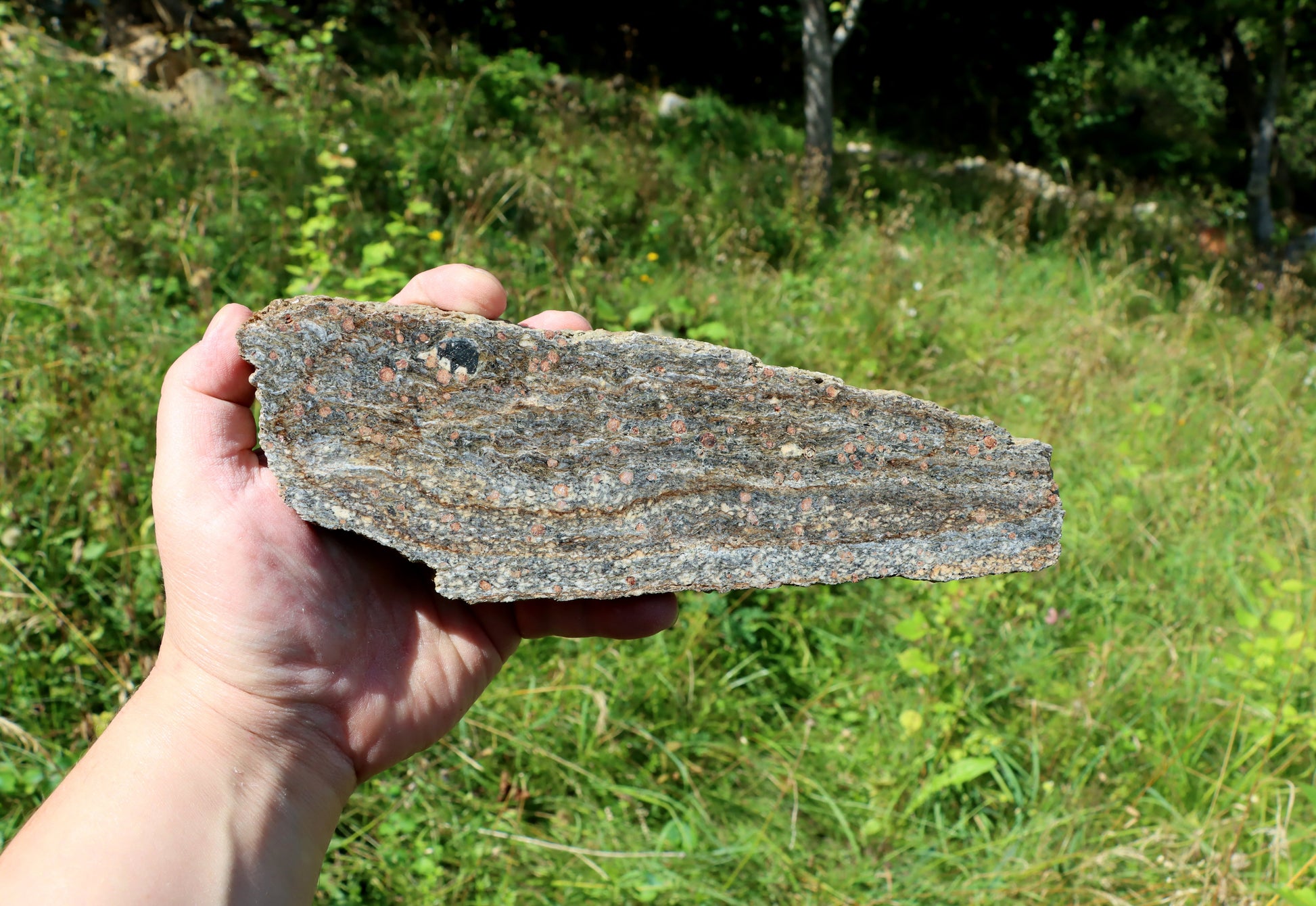 Svojanovit s almandinem, staurolitem a orthoklasem leštěný - Supreme Panthers