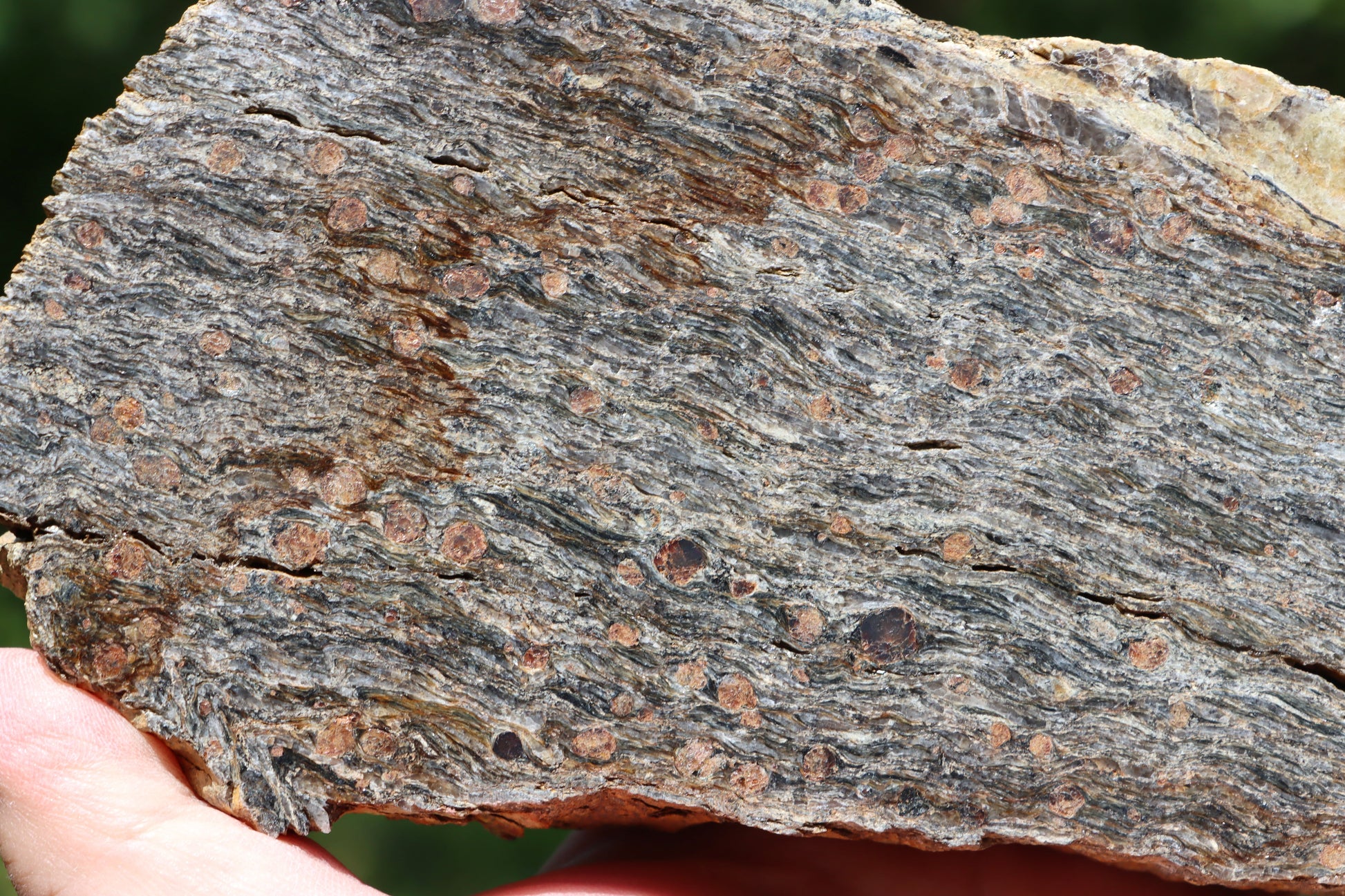 Svojanovit se staurolitem a almandinem - Supreme Panthers