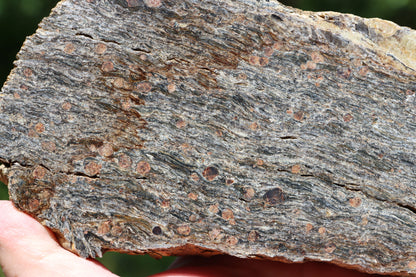 Svojanovit se staurolitem a almandinem - Supreme Panthers