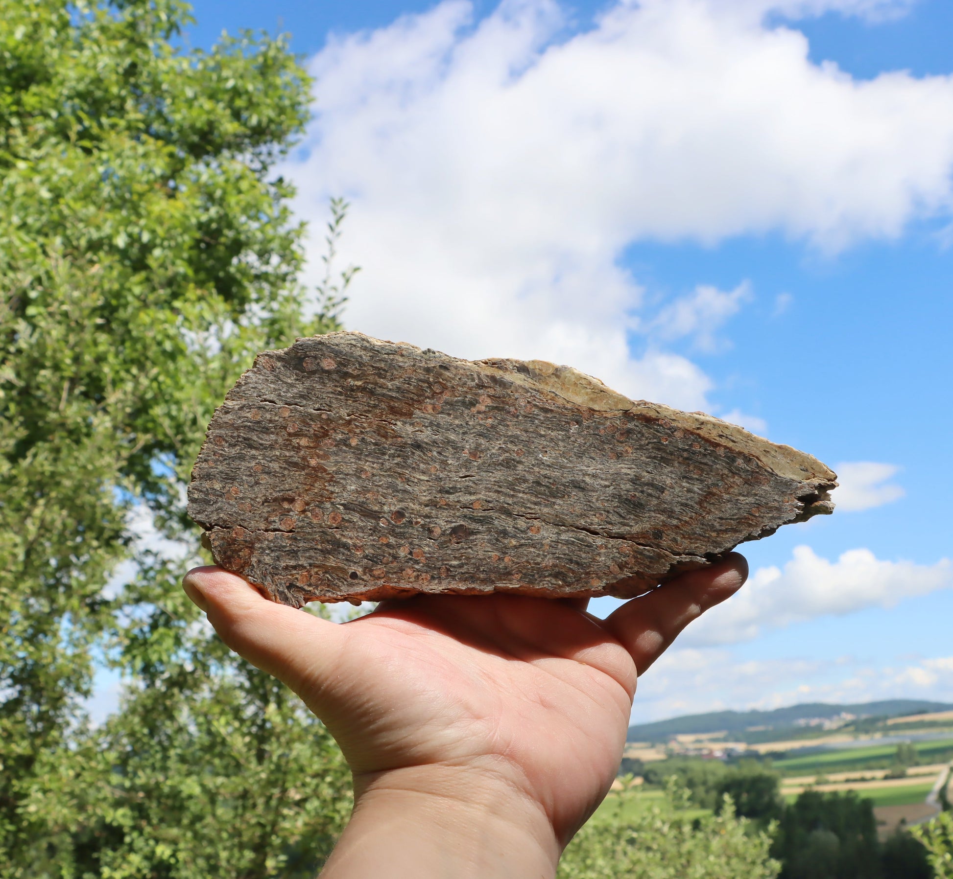 Svojanovit se staurolitem a almandinem - Supreme Panthers