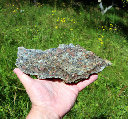 Svojanovit se staurolitem a almandinem - Supreme Panthers