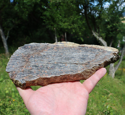 Svojanovit se staurolitem a almandinem - Supreme Panthers