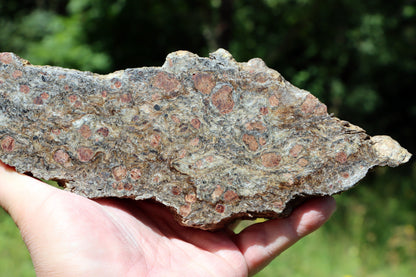 Svojanovit se staurolitem a almandinem - Supreme Panthers